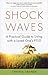 Shock Waves: A Practical Gu...