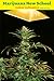 Marijuana New School Indoor Cultivation