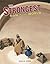 The Strongest Man in the World by Nicolas Debon