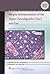 Biopsy Interpretation of the Upper Aerodigestive Tract and Ear