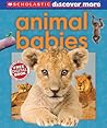 Animal Babies