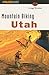 Mountain Biking Utah by Gregg Bromka