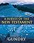 A Survey of the New Testament