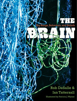 The Brain: Big Bangs, Behaviors, and Beliefs (Hardcover)