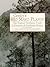 Gentry's Rio Mayo Plants: T...