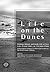 Life on the Dunes: Fishing, Ritual, and Daily Life at Two Late Period Sites on Vizcaino Point: Archaeological Testing at CA-SNI-39 and CA-SNI-162, San Nicolas Island, Ca