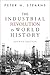 The Industrial Revolution in World History