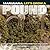 Marijuana: Let's Grow a Pound: A Day by Day Guide to Growing More Than You Can Use