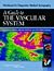 Workbook for Diagnostic Medical Sonography: A Guide to the Vascular System