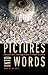 Pictures into Words: Images in Contemporary French Fiction (Stages)