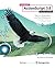 Foundation ActionScript 3.0...