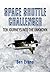 Space Shuttle Challenger (Texts and Monographs in Physics)