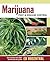 Marijuana Pest and Disease ...