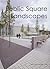 Public Square Landscapes