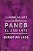 Paneb el ardiente (La piedra de luz #3)
