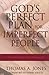 God's Perfect Plan for Imperfect People: The Message of Ephesians