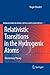 Relativistic Transitions in the Hydrogenic Atoms: Elementary Theory (Springer Series on Atomic, Optical, and Plasma Physics, 52)
