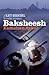 Baksheesh by Esmahan Aykol