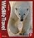 Wildlife Travel: 500 Ways To See Animals In Their Natural Habitat (Footprint - Activity Guides)