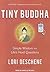 Tiny Buddha: Simple Wisdom for Life's Hard Questions