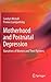 Motherhood and Postnatal Depression: Narratives of Women and Their Partners