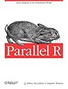 Parallel R by Q. Ethan McCallum