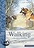 Walking on Eggshells: When Dogs Behave Aggressively on the Lead