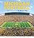Michigan Football: The Hist...