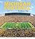 Michigan Football by Stephanie Steinberg
