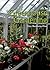 Greenhouse Gardening