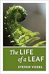 The Life of a Leaf