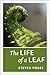The Life of a Leaf by Steven Vogel