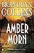 Amber Morn (Kanner Lake, #4)