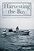 Harvesting the Bay: Fathers, Sons And The Last Of The Wild Shellfishermen