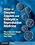 Atlas of Oocytes, Zygotes and Embryos in Reproductive Medicin... by Marc Van Den Bergh