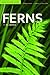 Ferns of Alabama by John W. Short