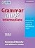 Grammar in Use Intermediate: Reference and Practice for Students of North American English