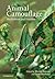 Animal Camouflage: Mechanisms and Function