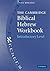 The Cambridge Biblical Hebrew Workbook: Introductory Level