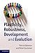 Plasticity, Robustness, Development and Evolution