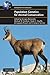 Population Genetics for Animal Conservation (Conservation Biology, Series Number 17)