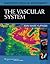 Diagnostic Medical Sonography: The Vascular System