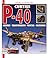 Curtiss P-40: Assembly, Transformation, Painting, Weathering (Planes and Model Kits)