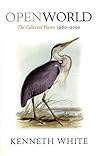 Open World: The Collected Poems 1960 - 2000