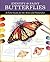 Identify and Paint Butterflies: A Field Guide for the Artist and Naturalist