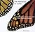 The Monarchs