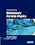 Introduction to Elementary Particle Physics
