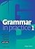 Grammar in Practice 1