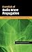 Essentials of Radio Wave Propagation (The Cambridge Wireless Essentials Series)
