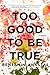 Too Good to Be True by Benjamin Anastas